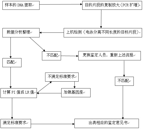 亲子鉴定检测流程之实验室样本检测流程图